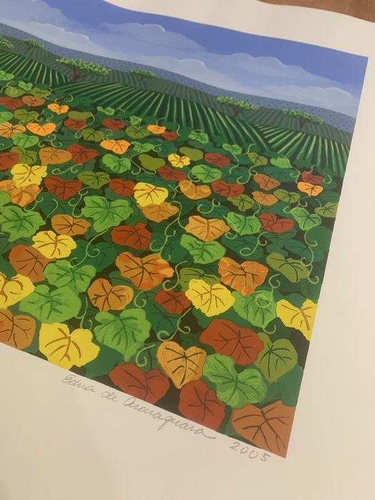 Sergrafia da Artista Edna Araraquara