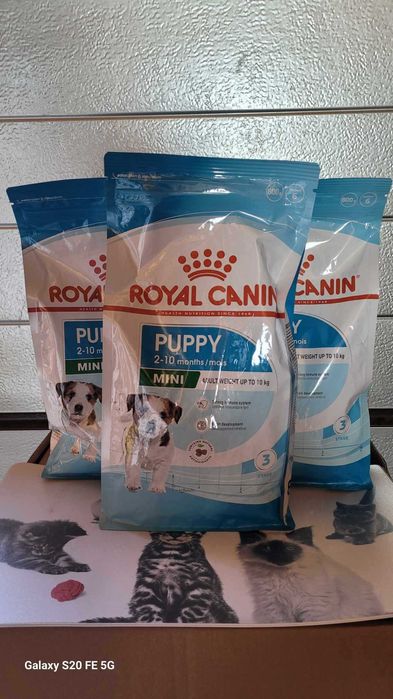 ROYAL CANIN Mini Puppy junior dla ras małych 4 x 800 g PROMOCJA