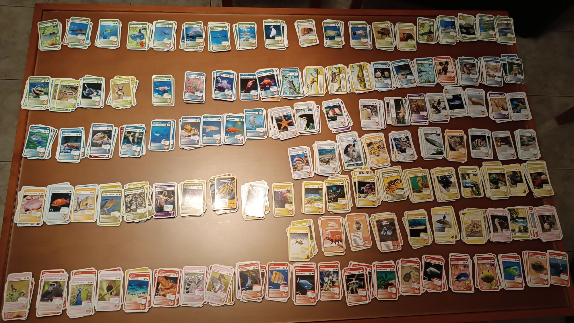 Cartas. Coleção Super Animais. Pingo Doce