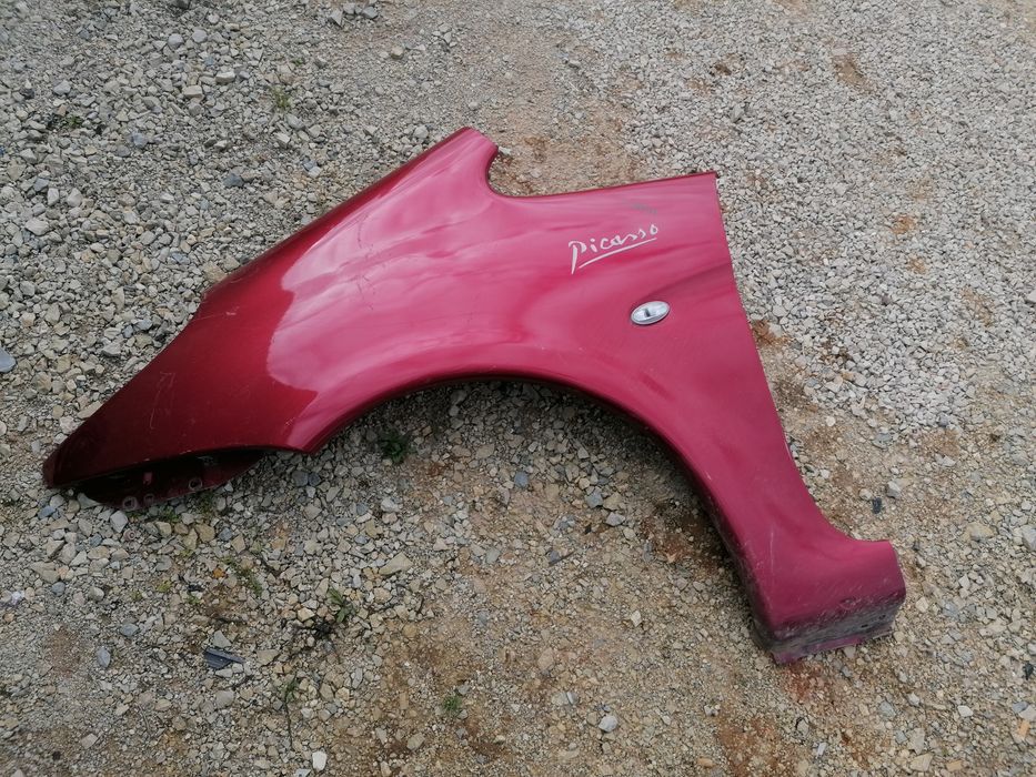 Guarda lamas Citroën xsara picasso esquerdo