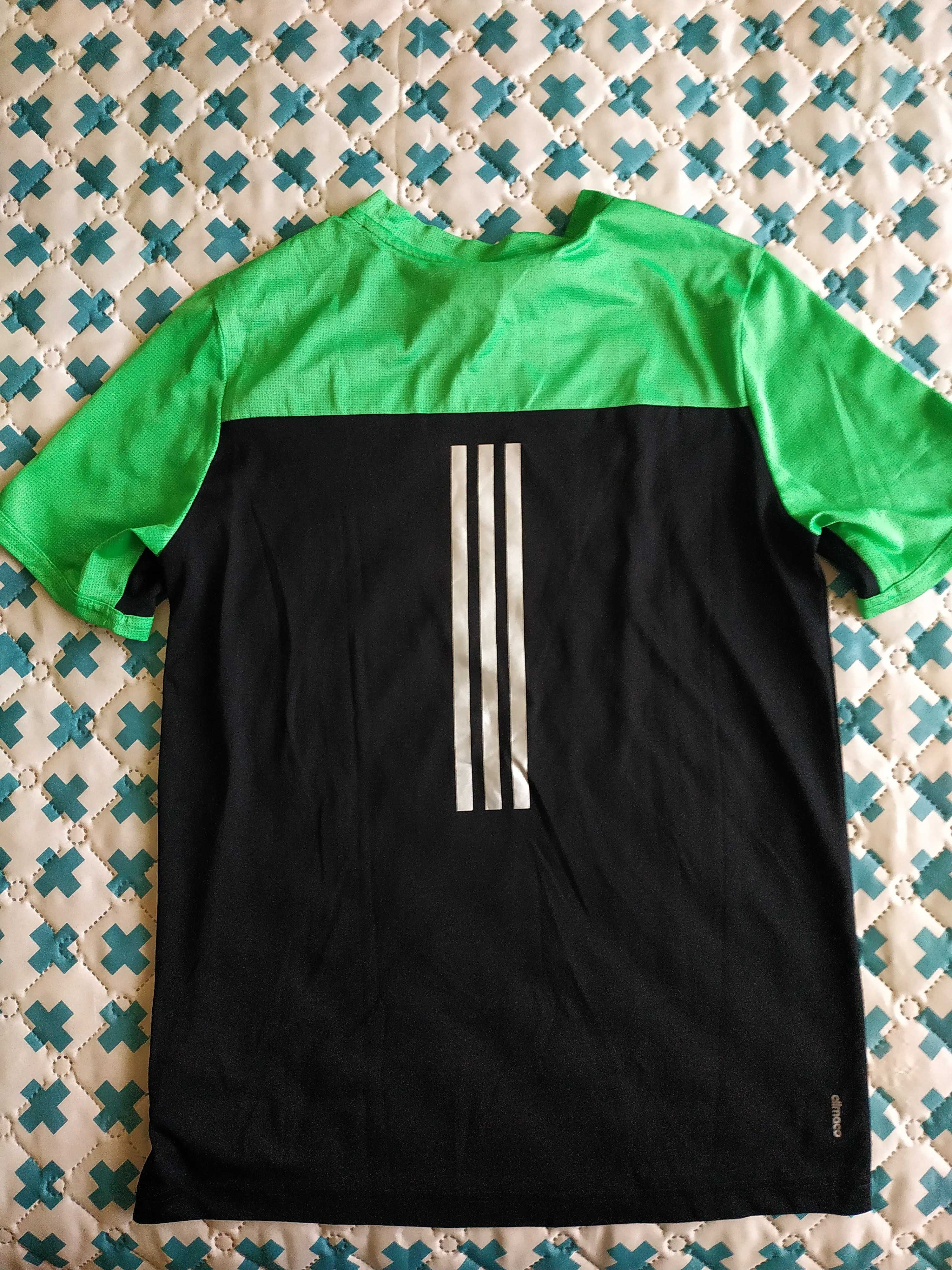 Equipamento ( calções e t-shirt ) da Adidas - 13/14 Anos