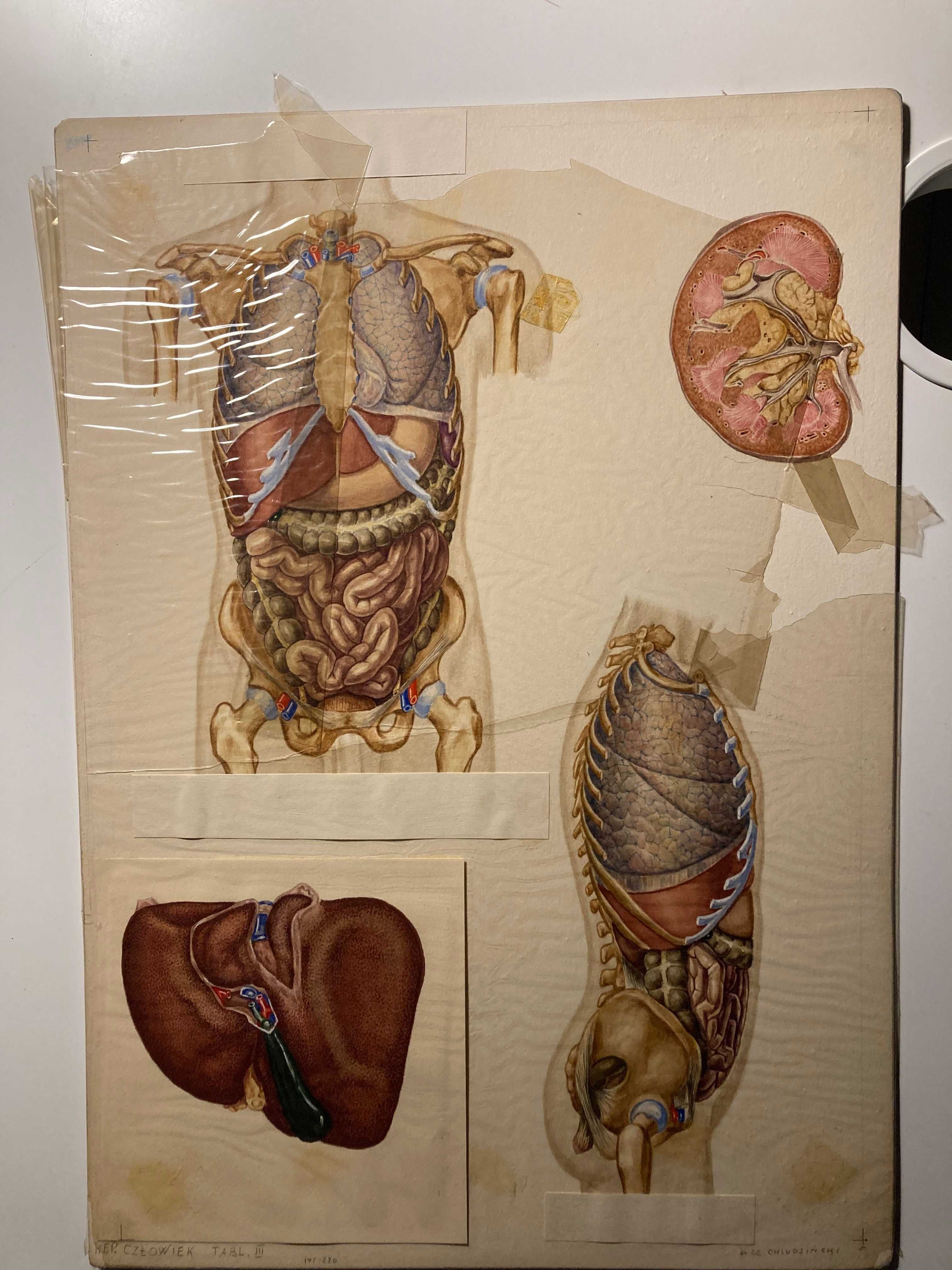 Stanisław Czesław Chludziński prace malarstwo/grafika