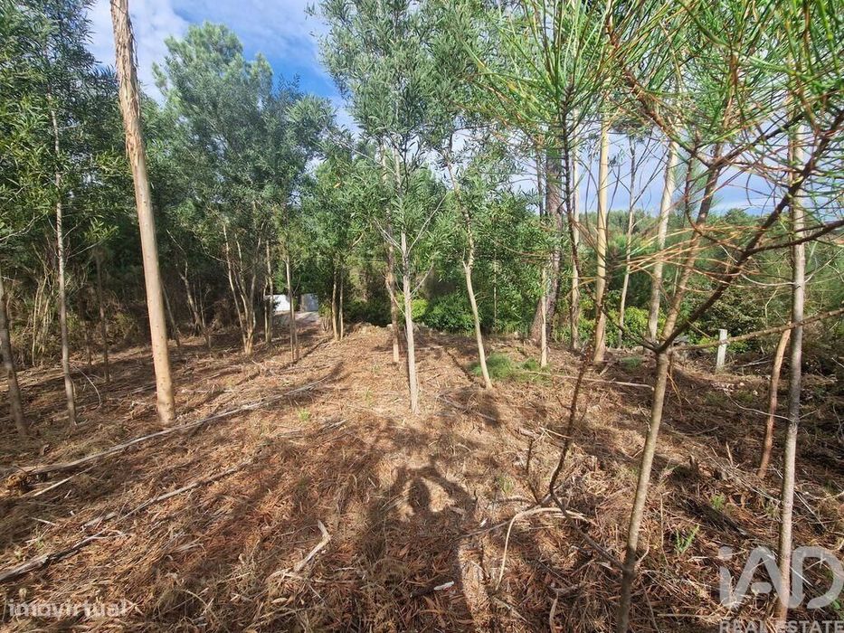 Terreno para construção em Nogueira, Meixedo e Vilar de Murteda de 321