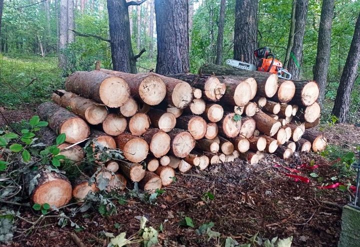 Piła Spalinowa Pilarka Łańcuchowa Do Drewna 2x Łańcuch 2x Prowadnica 2