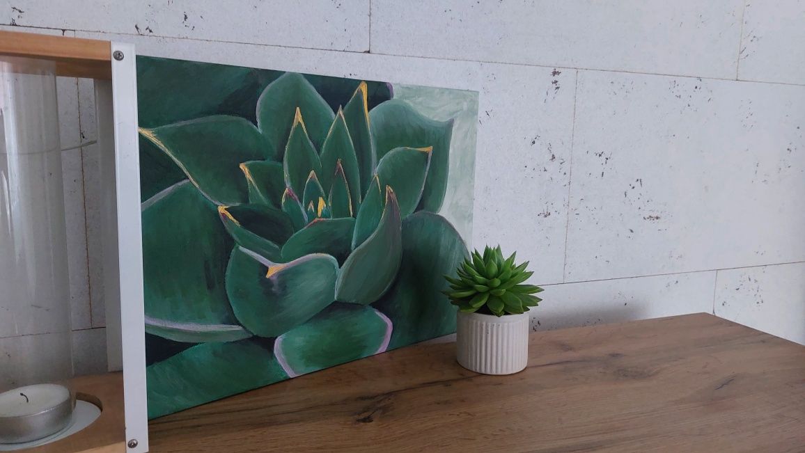 Obraz  sukulent eszeweria malowany na plotnie minimalistyczny boho