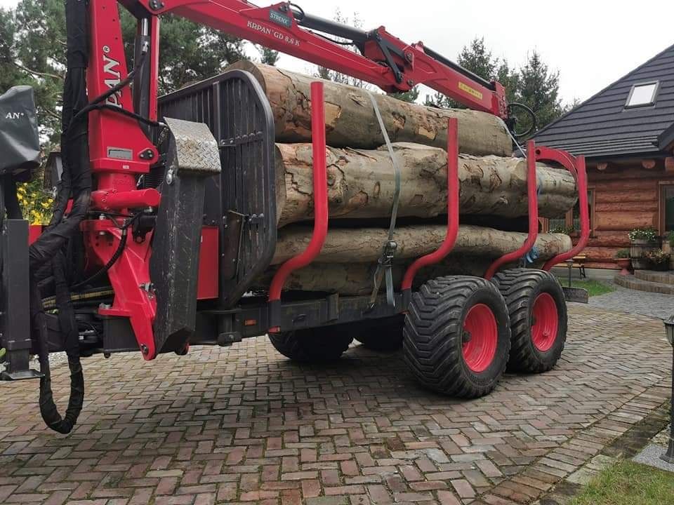 Buk, grab, dab i inne gatunku Drewno opałowe kominkowe
