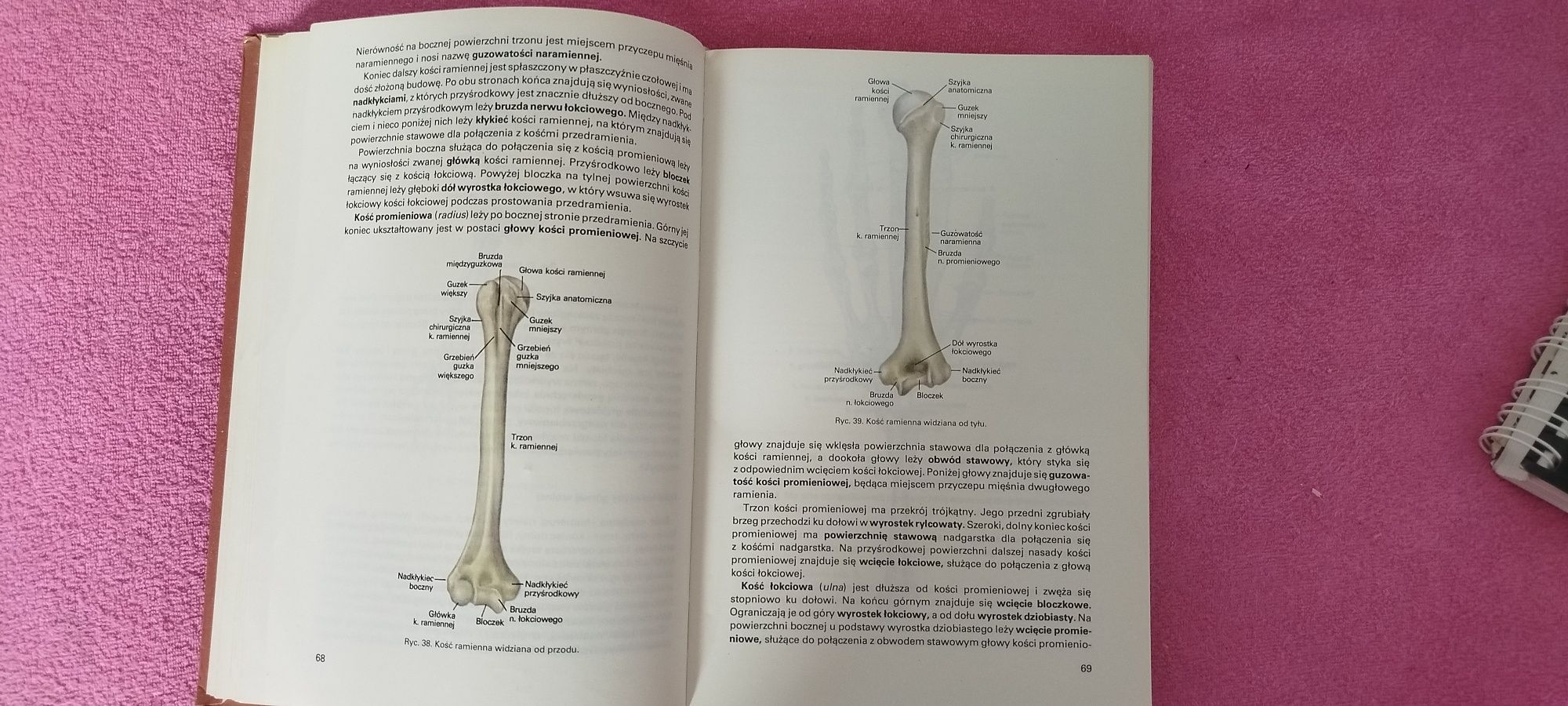 Anatomia i Fizjologia człowieka