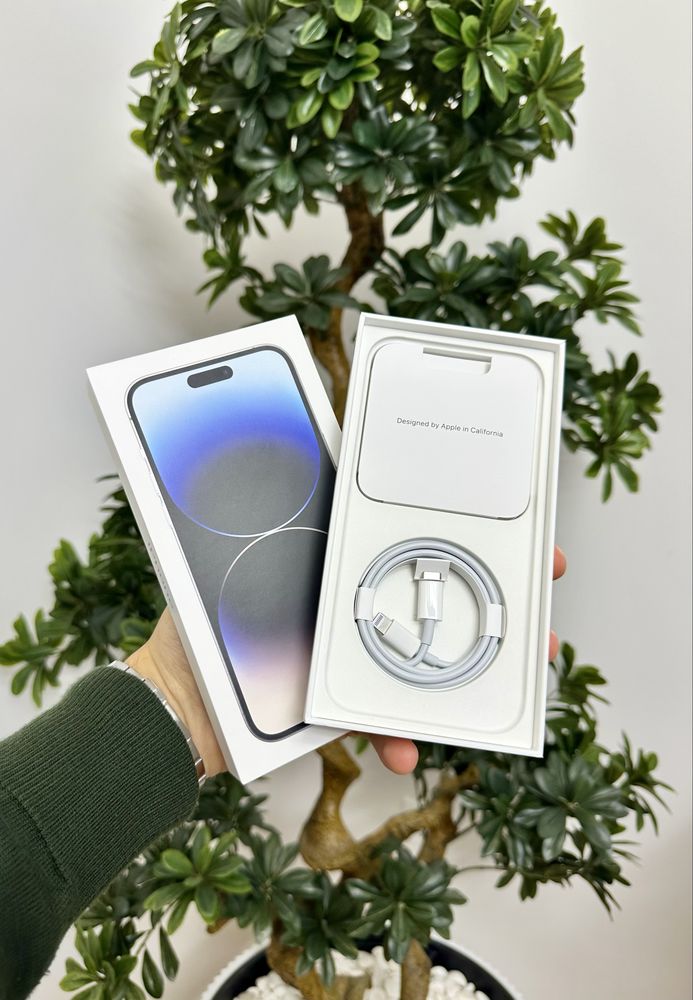 IPhone 14 Pro Max Silver 256 GB + Acessorios (COMO NOVO)