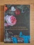 Szkarłatna Litera Romanse Wszechczasów Hachette Nathaniel Hawthorne