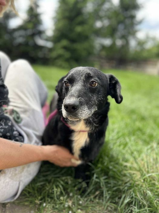 Lesko szuka kąta dla siebie