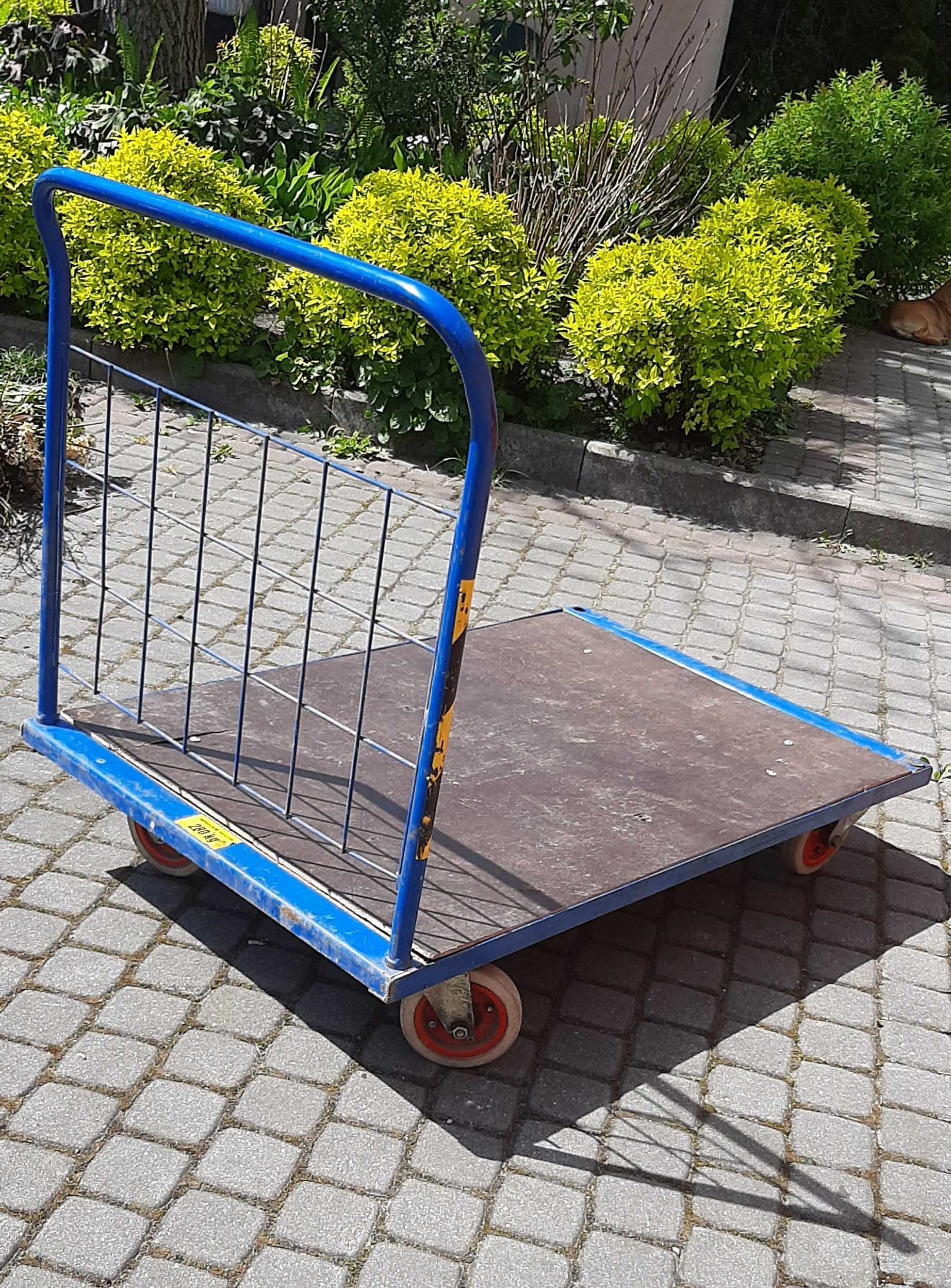 Wózek transportowy platformowy magazynowy 80x120 wózek ROMEK 280 kg