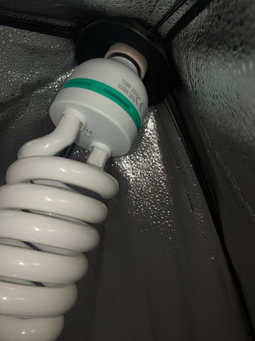 Продам постійне світло