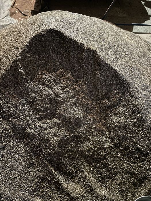 Продам Зерно соняшника