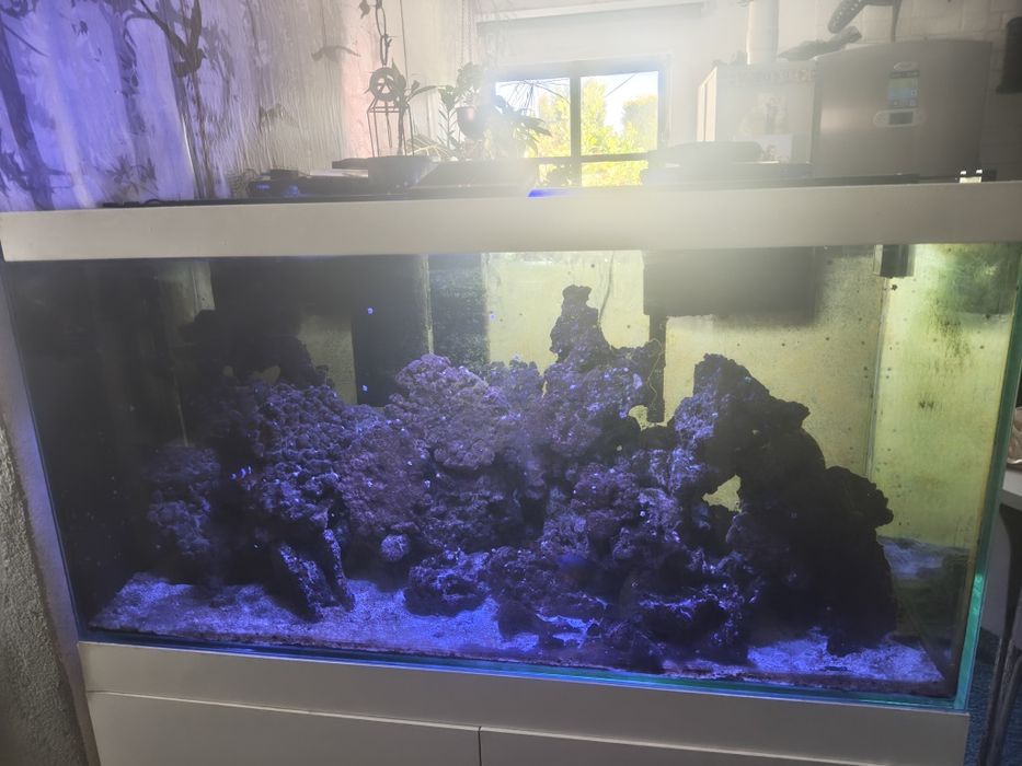 Aquário água salgada 120cm