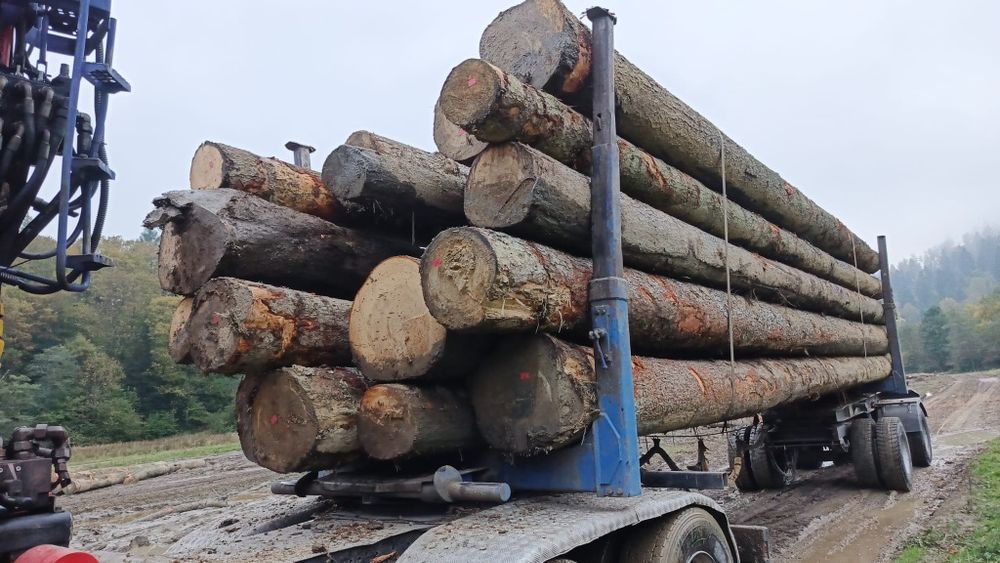 Drewno tartaczne jodła, sosna