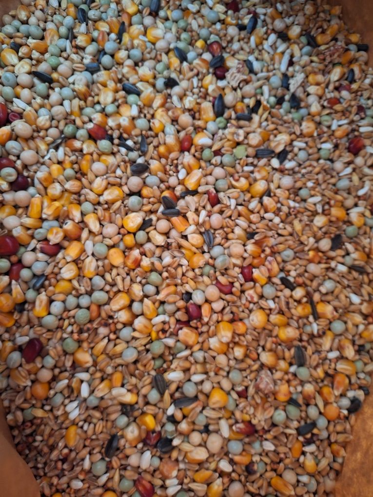 Karma dla gołębi 20 kg