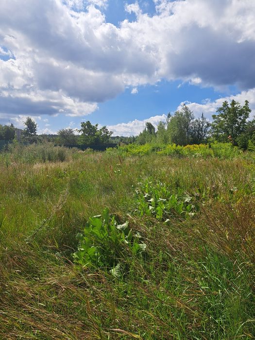 Ділянка   Волиця