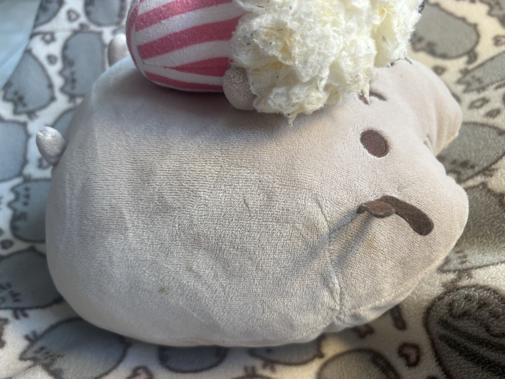 Maskotka pluszak kotek pusheen z popcorn