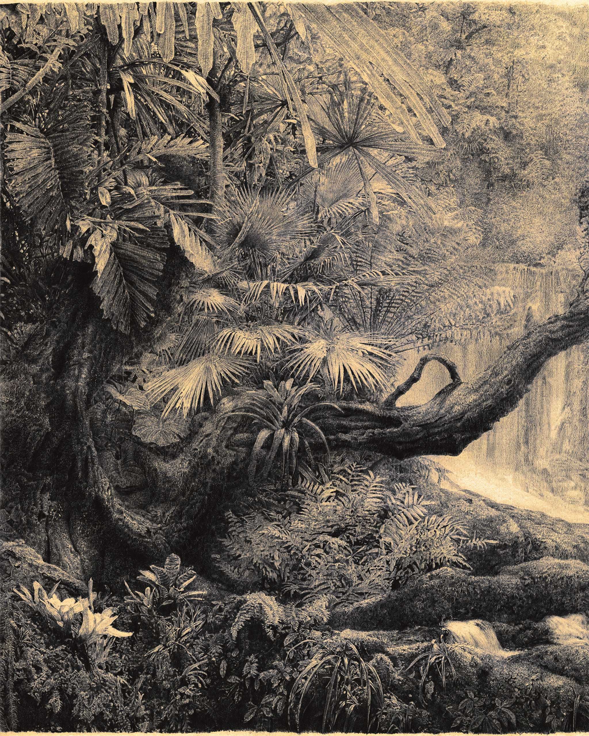 Моя картина "Тропічний ліс" - рисунок з аквареллю