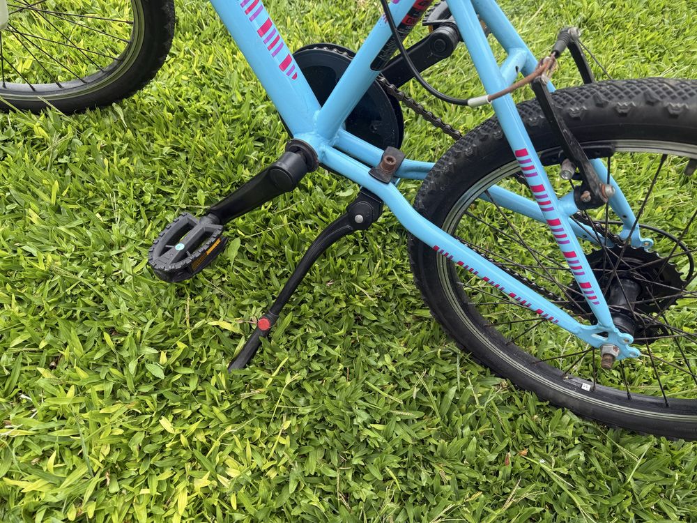 Bicicleta crianca BERG Charm 205