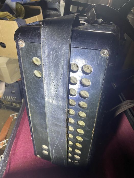 Рабочий баян в чемодане