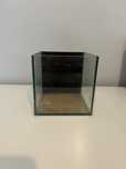 Akwarium 15x15x15