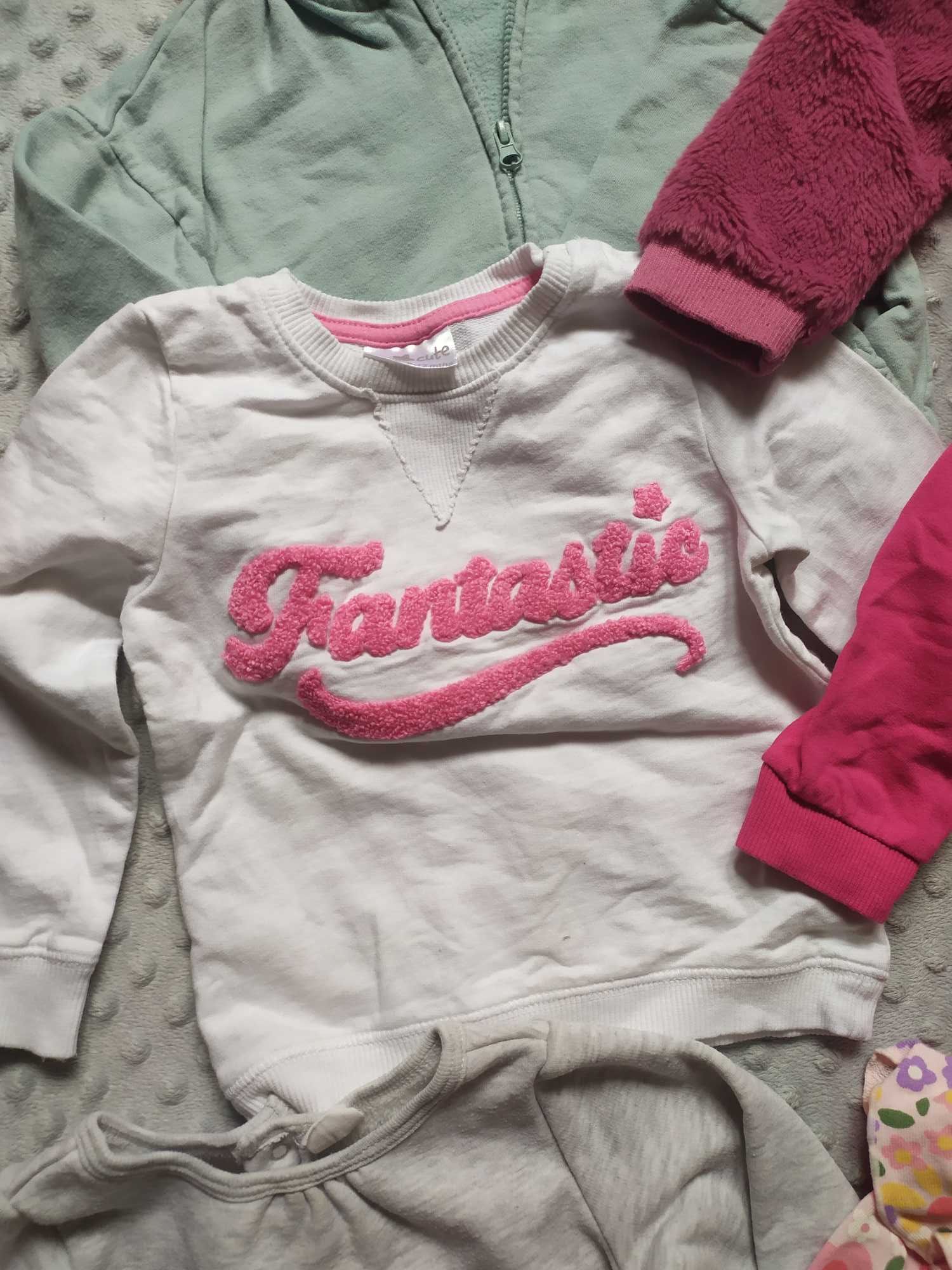 Bluzy dziewczęce H&M Lupilu Disney baby 80