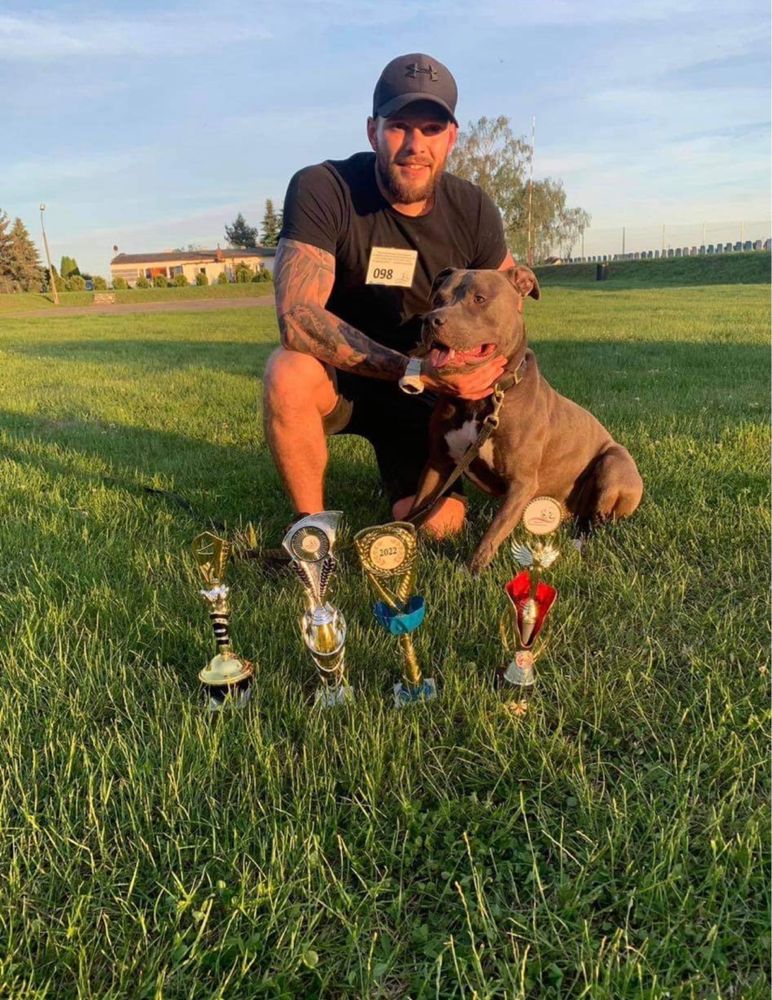 Champion-Line zapowiedz ! American Staffordshire Terrier!