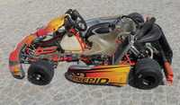 Karting Interpid Rotax 125cc DD2 com Mychron 4