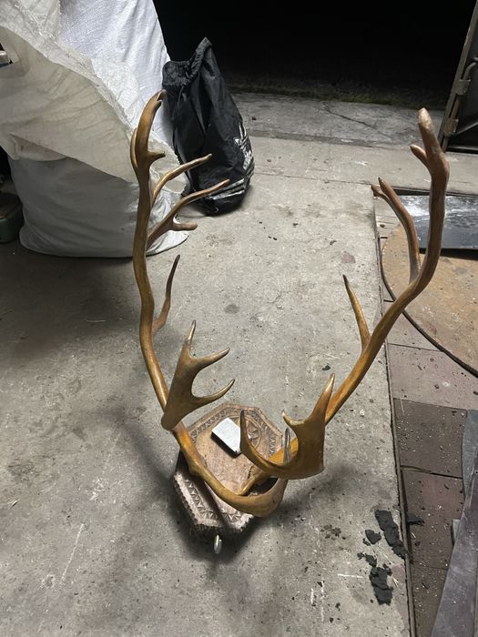 Продам рога, Запарожжье