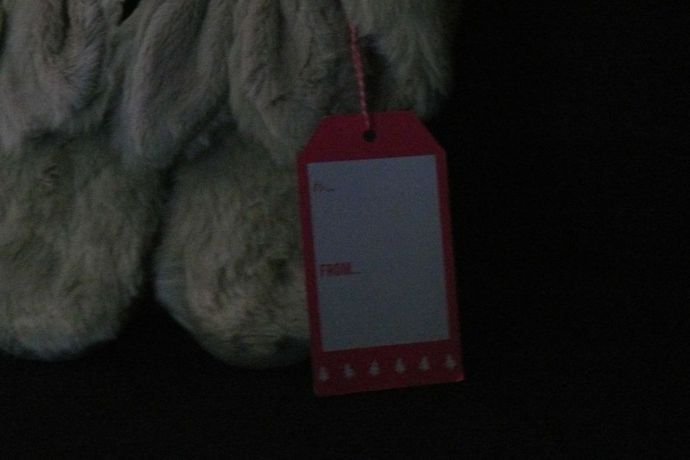 Pantufas Coelhinho Accessorize