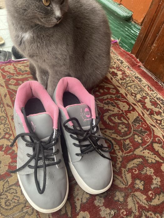 Кроси на колесику віддам