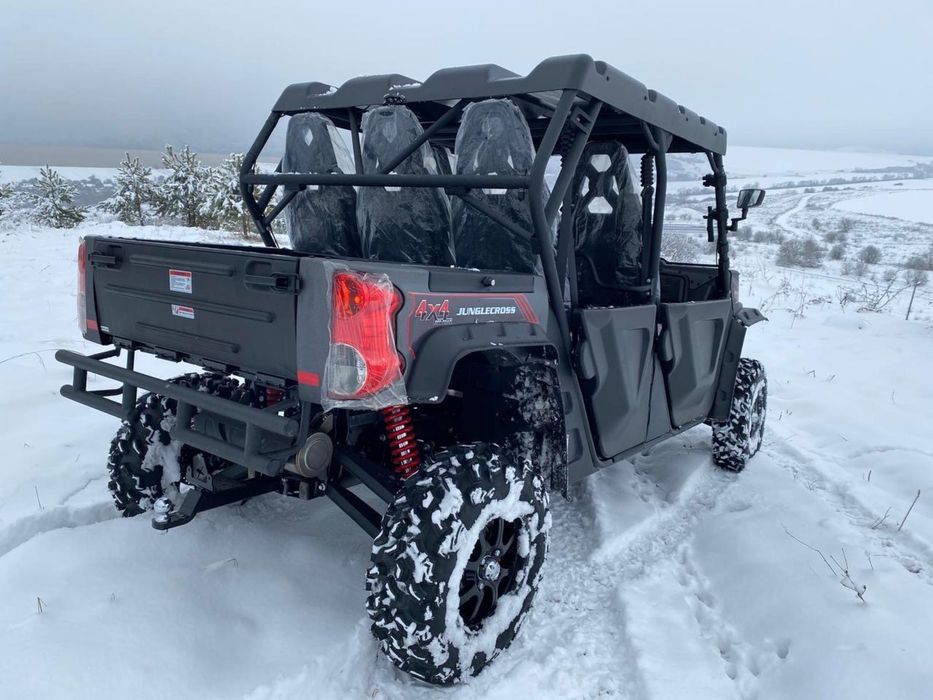 Баггі Odes 1000 баги