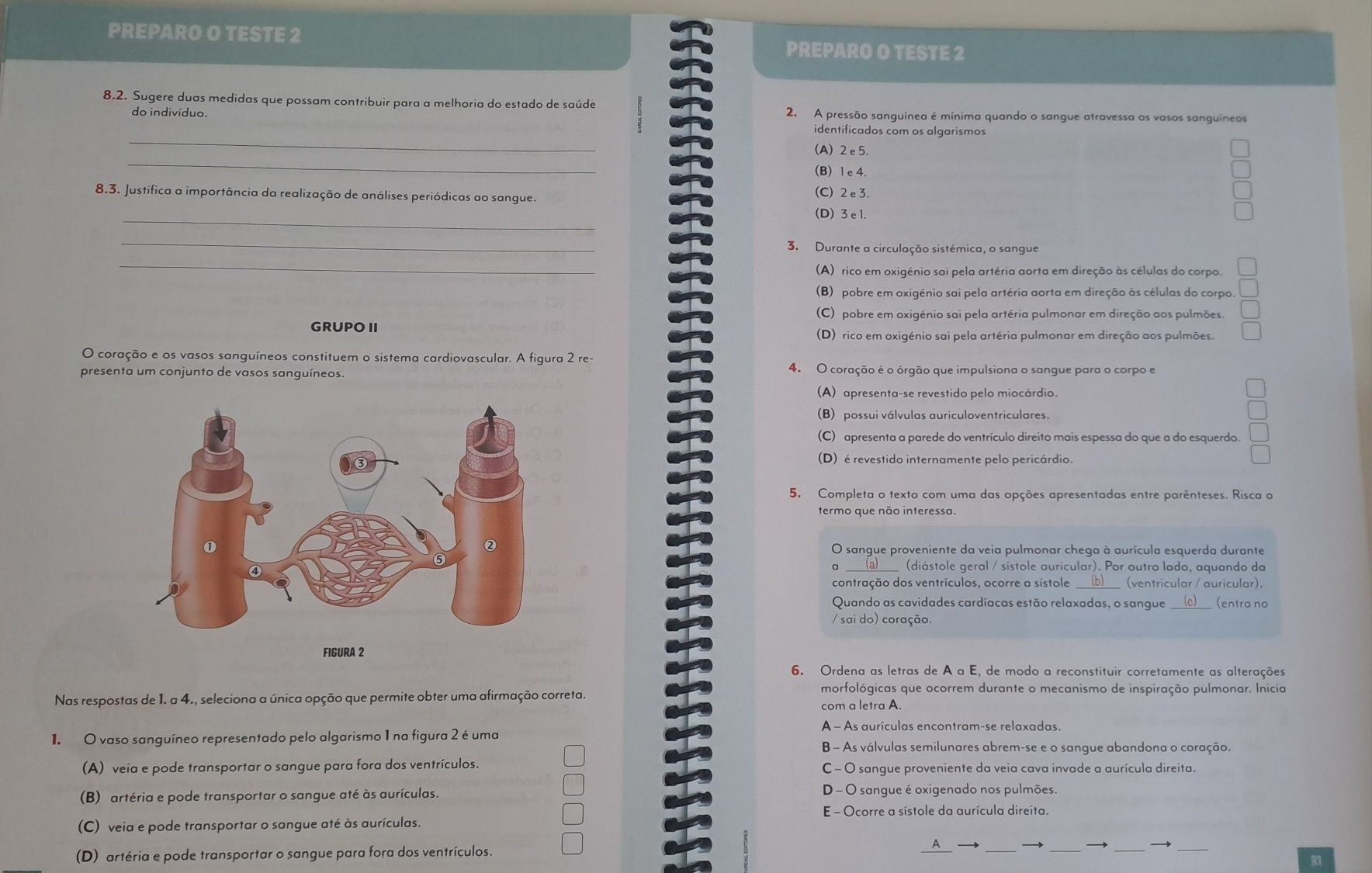 Caderno de actividades 9° ciências naturais
