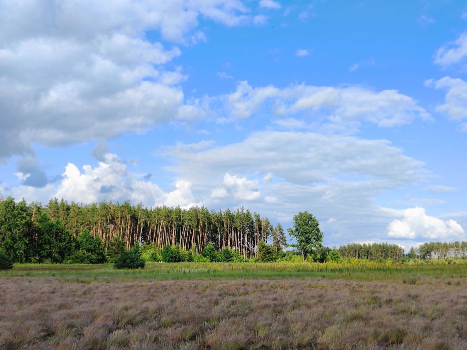 Терміново! Ділянка 9.5 сот поруч з лісом під модульний буд | Дмитрівка
