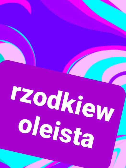 Seradela.łubin.żyto jare.owies..nostrzyk.rzodkiew.facelia.gryka..pszen
