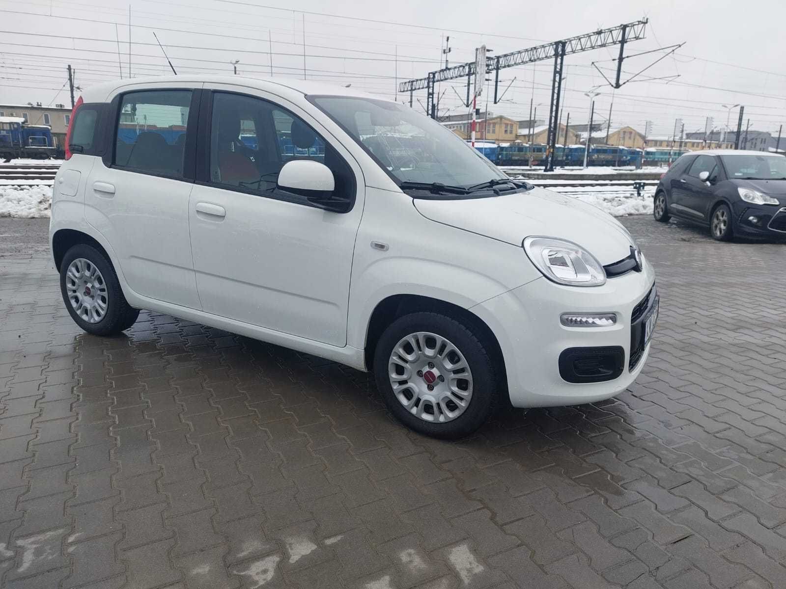 Wynajem samochodu auta Fiat Panda