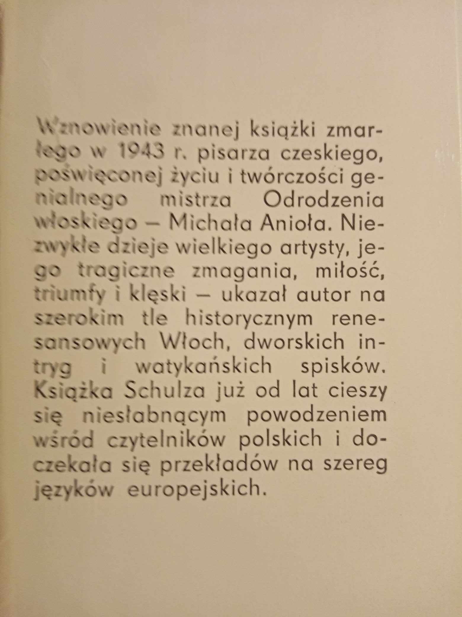 Michał Anioł - książka - Schulz - Kamień i cierpienie - malarz