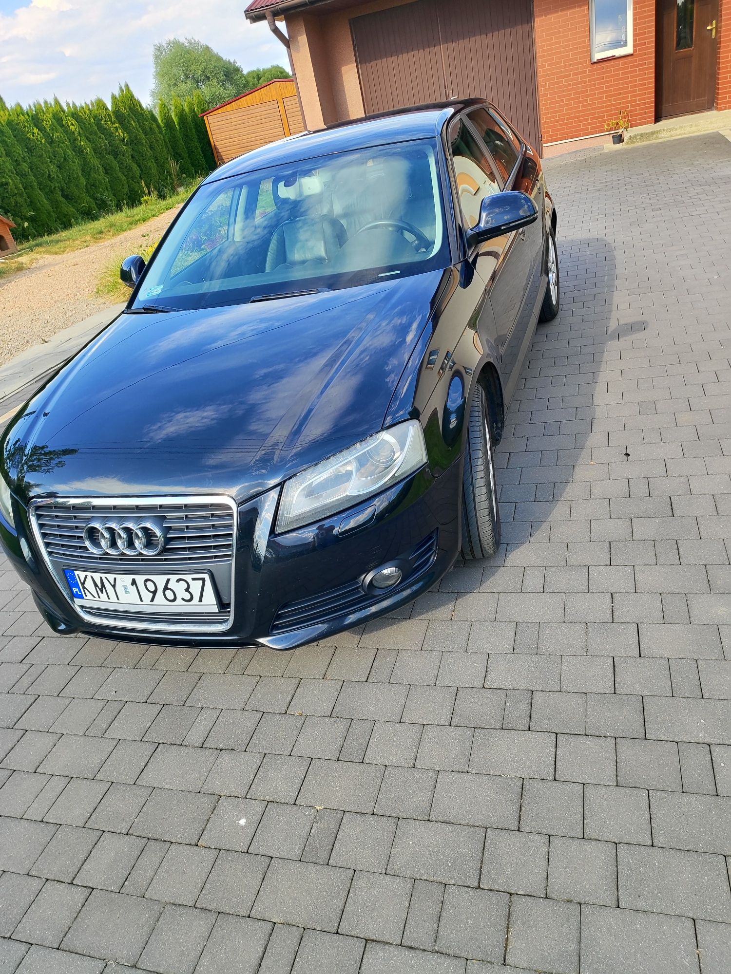 Audi a3 8p 1.9 TDI