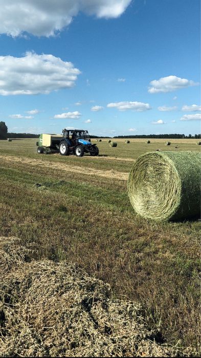 Сіно люцерни в круглих тюках. Укос 2025