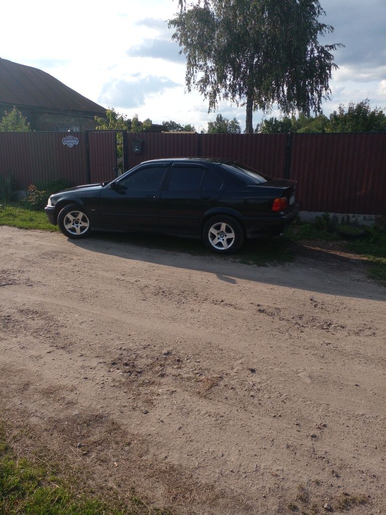 Продом бмв є36 м51