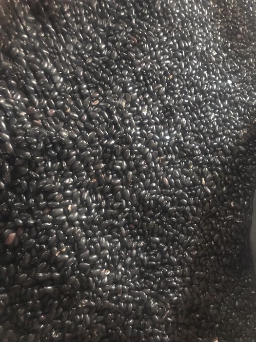 Продам чорну квасолю