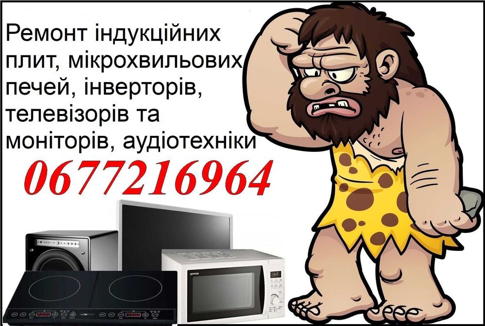 Ремонт інверторів, мікрохвильових печей, індукційних плит та ін.