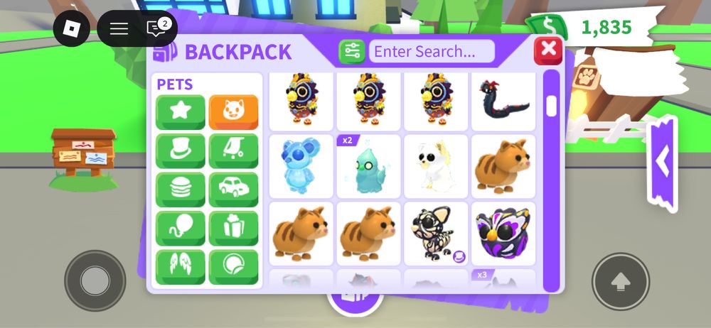 Pety adopt me roblox pets