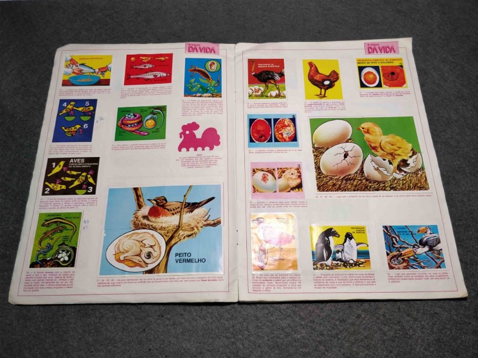 Antiga caderneta A origem da vida - falta 1 cromo