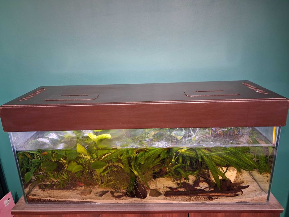 Akwarium 160 litrów