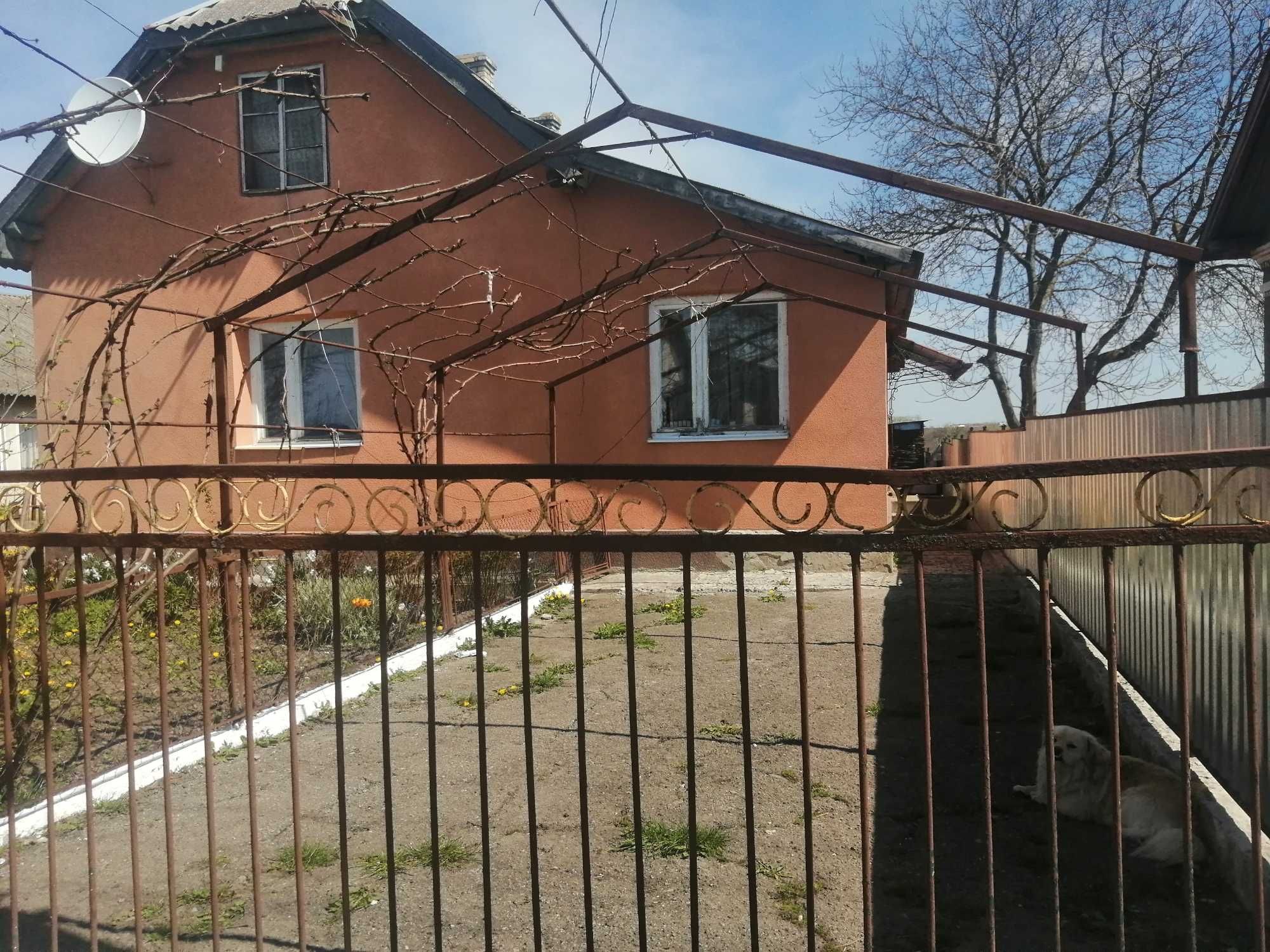 ТЕРМІНОВО Продам будинок з надвірними будівлями у селі Вікторівка