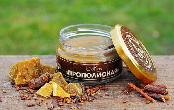 Апитерапия Лечение пчело -ужаливанием , продуктами пчеловодства Ровно