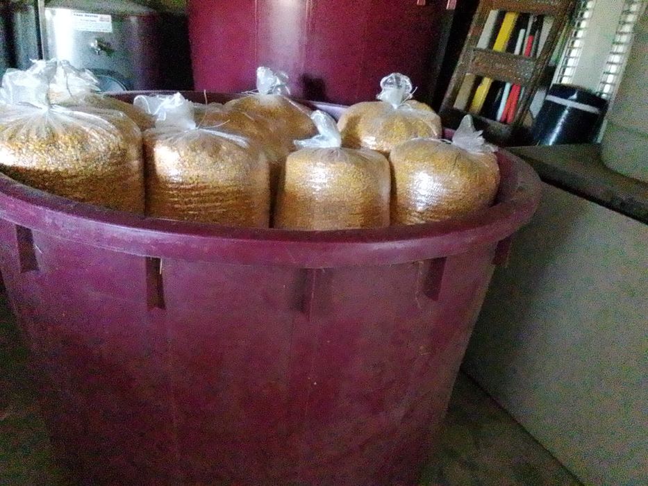 Vendo milho ensacado e ao kilo