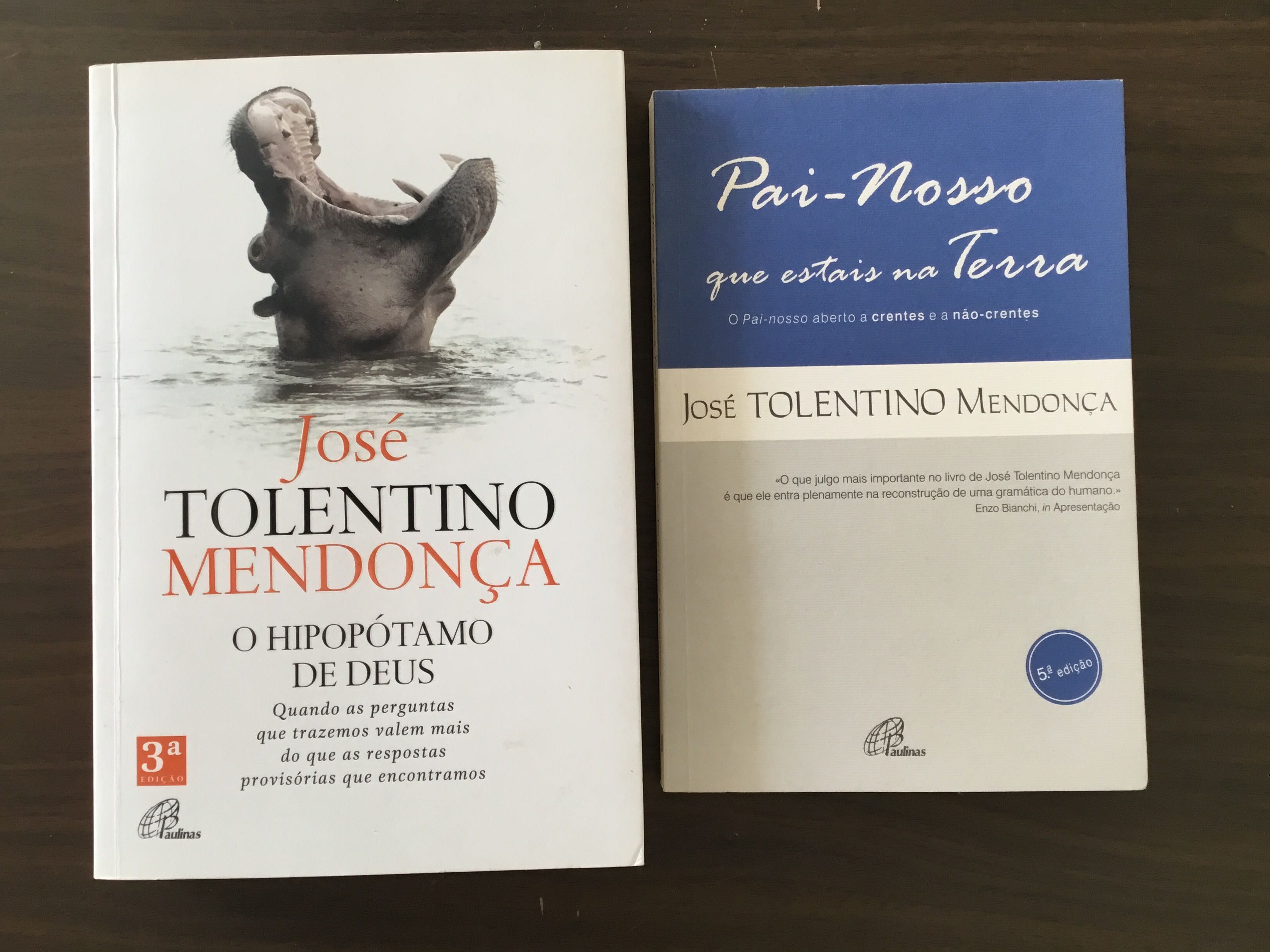 Tolentino de Mendonça - livros de teologia e religião